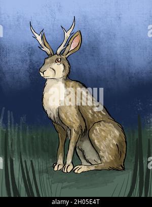 a jackalope hand drawn illustration Stock Photo