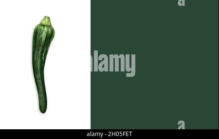 Zucchini. Top view photo with copy space. Stock Photo