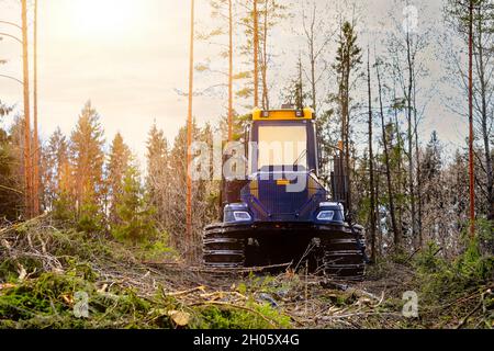 Ponsse forest forwarder on a sunny woodland logging site in the spring. Jokioinen, Finland. April 22, 2019. Stock Photo
