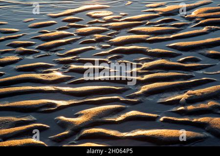 Abstract sand pattern, sand ripples on mud flat / beach at low tide at sunset, Wadden Sea National Park, Schleswig-Holstein, Germany Stock Photo