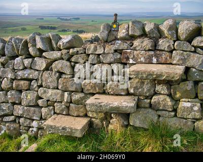 Three weathered, cantilevered steps in a dry stone wall form a stile on a field boundary on the Hadrian's Wall Path in Northumberland, England, UK. Stock Photo