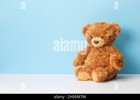 Teddy bear sits on a white table and blue background. Template Copy space for text. Stock Photo