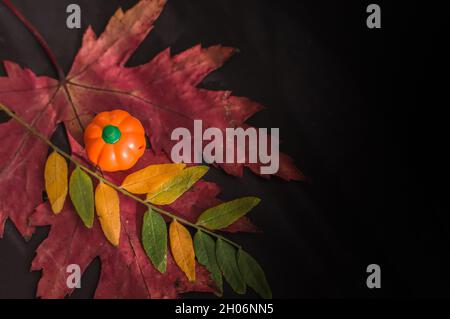 small orange pumpkin with autumn leaves on a black background Stock Photo