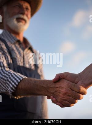 Close up of two farmers shaking hands in field against blue sky Stock Photo