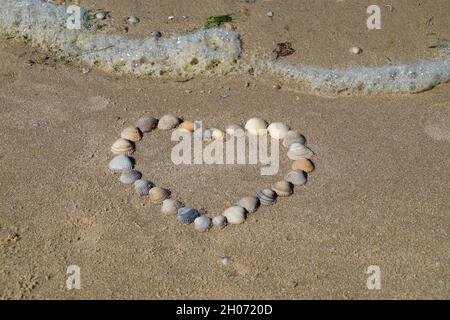 a heart made of seashells on the beautiful beach of Baltrum Island in the North Sea (Germany) Stock Photo