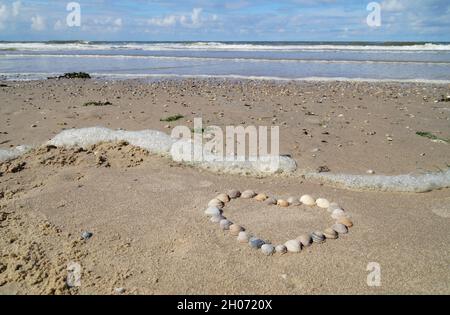 a heart made of seashells on the beautiful beach of Baltrum Island in the North Sea (Germany) Stock Photo