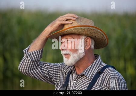 Portrait of old farmer with white beard in overall and with straw hat in corn field Stock Photo