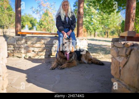 A woman takes a German Shepherd dog for a walk in nature Stock Photo