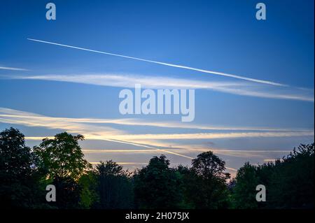 Dark blue sky at dusk with white clouds. An airplane (aeroplane) contrail extends across the sky. Silhouette of trees on the horizon. Stock Photo