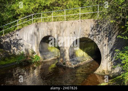 Skipton Wood is a 36-acre wood following the valley of Eller Beck to the north of Skipton behind Skipton Castle in North Yorkshire, England. The wood Stock Photo