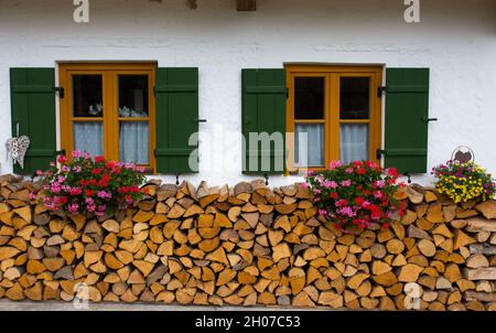 Wooden window with red coloerful plants in flower pot above firewood against white wall Stock Photo