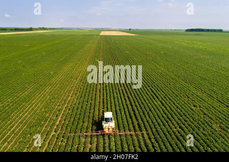 Aerial image of tractor spraying soybean field in early summer shoot from drone Stock Photo