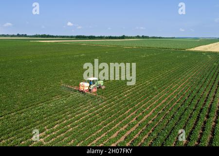 Aerial image of tractor spraying soybean field in early summer Stock Photo