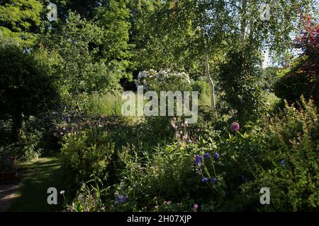 Informal country garden in mid-June Stock Photo