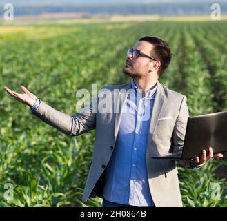 Businessman in suit and with laptop standing in corn field and looking at sky, waiting for rain in summer time Stock Photo