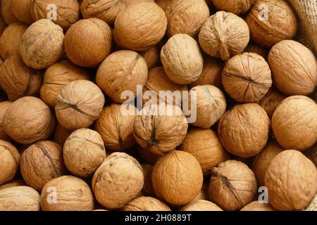 Fresh walnuts, close up. Stock Photo