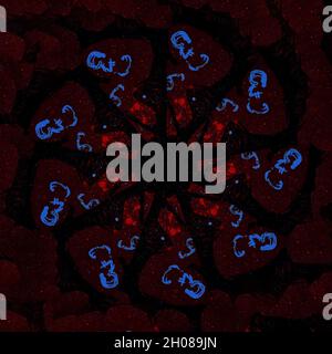 STP Screen Transfer Process - 0072 - The Scribbling Path 2 Mandala ...