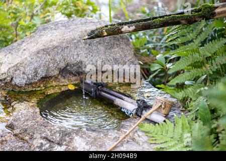 Zen stone water basin with bamboo piped running water. Japanese garden motif. Stock Photo