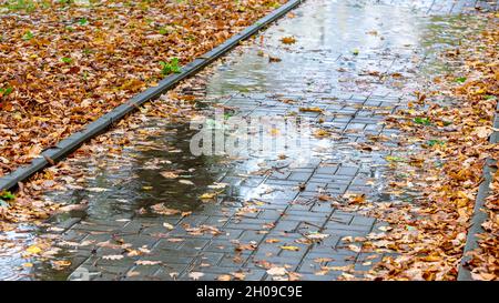 wet cobble stone path with puddles and yellow fallen leaves in autumn rainy day Stock Photo