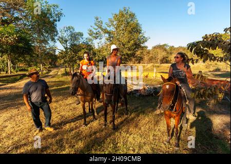 Peao pantaneiro hi-res stock photography and images - Alamy