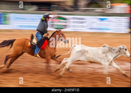 Brazilian cowboy on a rodeo competition at Bonito town, Mato Grosso do ...