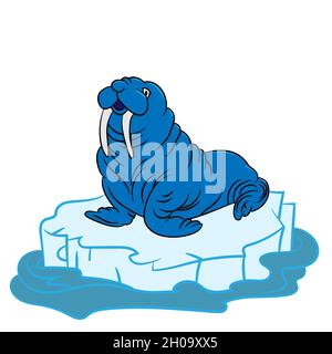 Cartoon drawing of a walrus on an ice floe in the Arctic, vector illustration Stock Vector