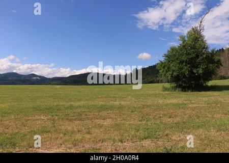 Impressionen aus der Stadt Wehr im Schwarzwald Stock Photo