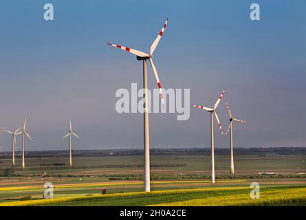Wind turbine farm in yellow rapeseed fields in spring time. Renewable energy sources concept Stock Photo