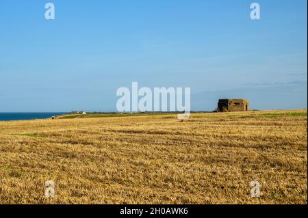 Pillbox from second world war situated in a field near the Happisburgh beach, Norfolk, England. Stock Photo