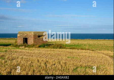 Pillbox from second world war situated in a field near the Happisburgh beach, Norfolk, England. Stock Photo