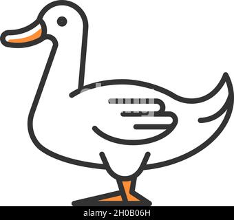 Domestic duck RGB color icon Stock Vector