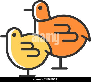 Chicks RGB color icon Stock Vector
