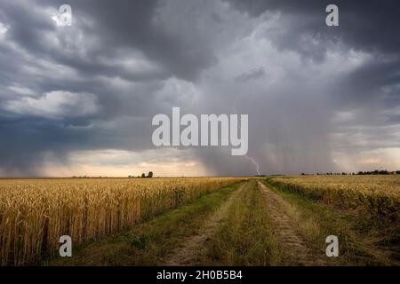 Thunderstorm in the late afternoon over the plain. Thunderstorm forming between Chateauneuf en Thymerais and Dreux late in the day. Thunderstorm with Stock Photo
