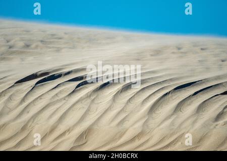 Sand dune in channels between San Carlos and La Florida BCS Mexico Stock Photo