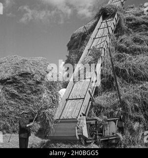 Aufstapeln von frisch geerntetem Heu im Altmühltal, Deutschland 1930er Jahre. Piling up freshly harvested hay at Altmuehltal valley, Germany 1930s. Stock Photo