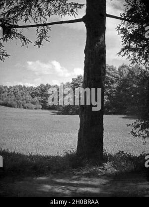 Am Füstenteich in Königsberg, Ostpreußen, 1930er Jahre. At Fuerstenteich pond, Koenigsberg, East Prussia, 1930s. Stock Photo