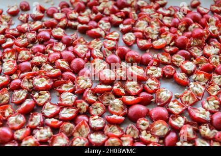 Dried Rose Hip or Rosehip (also called Rose Haw and Rose Hep) fruits and berries on a tray for tea or jelly, flat lay view from above Stock Photo