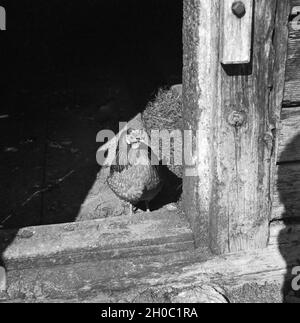 Ein Ausflug nach Mittelberg in Österreich, Deutsches Reich 1930er Jahre. A trip to Mittelberg in Austria, Germany 1930s. Stock Photo