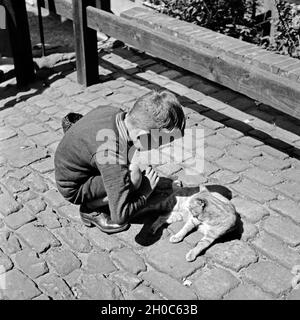 Ein kleiner Junge spielt mit einer Katze auf dem Kopfsteinpflaster in der Altstadt von Nürnberg, Deutschland 1930er Jahre. A little boy playing with a cat at the cobblestone of a lane at Nuremberg, Germany 1930s. Stock Photo