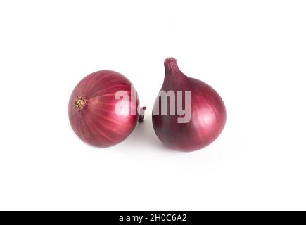 Two blue onions on a white background, isolate, close-up, organic Stock Photo