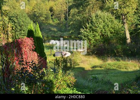 A boat pulled out onto a grassy shore in a dense forest seen from a hill on a sunny, sunny day. Stock Photo