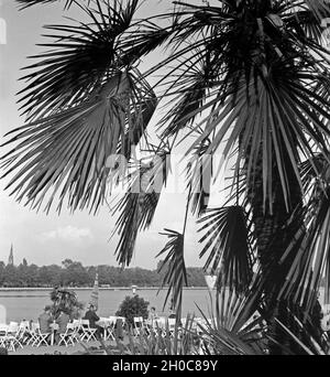 Menschen erfrischen sich in der von Palmen umgebenen Außengastronomie am Maschsee bei Hannover, Deutschland 1930er Jahre. People relaxing at a garden restaurant on the shore of Maschsee lake near Hanover, Germany 1930s. Stock Photo