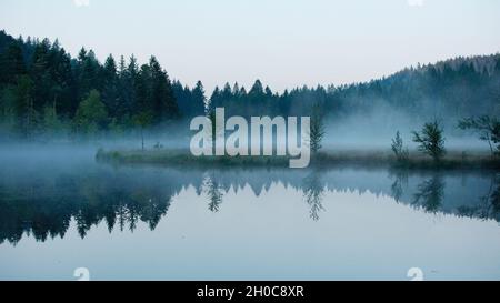 Morning mist on the peat bog lake of Lispach, Vosges, France Stock Photo