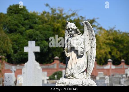 A sculpture of a kneeling angel praying in a cemetery on a sunny day Stock Photo