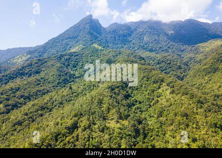 (211012) -- HAIKOU, Oct. 12, 2021 (Xinhua) -- Aerial photo taken on Sept. 29, 2021 shows the view of the Hainan Tropical Rainforest National Park in south China's Hainan Province. The Hainan Tropical Rainforest National Park in south China's Hainan Province boasts one of the most concentrated, best preserved and largest contiguous tropical rainforests in China. The park covers nine cities and counties, with a total area of 4,400 square km, or about one-seventh of Hainan Island's land area. It is an important part of the world's tropical rainforest and a key area for biodiversity conservatio Stock Photo