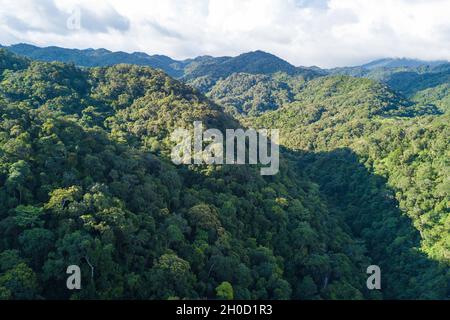 (211012) -- HAIKOU, Oct. 12, 2021 (Xinhua) -- Aerial photo taken on Sept. 26, 2021 shows the view of the Hainan Tropical Rainforest National Park in south China's Hainan Province.  The Hainan Tropical Rainforest National Park in south China's Hainan Province boasts one of the most concentrated, best preserved and largest contiguous tropical rainforests in China.   The park covers nine cities and counties, with a total area of 4,400 square km, or about one-seventh of Hainan Island's land area. It is an important part of the world's tropical rainforest and a key area for biodiversity conservatio Stock Photo