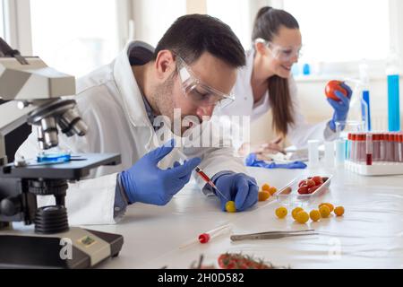 Two scientists working on vegetables testing with syringe in laboratory Stock Photo