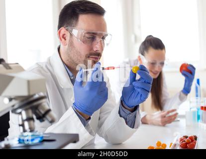 Two scientists working on vegetables testing with syringe in laboratory Stock Photo