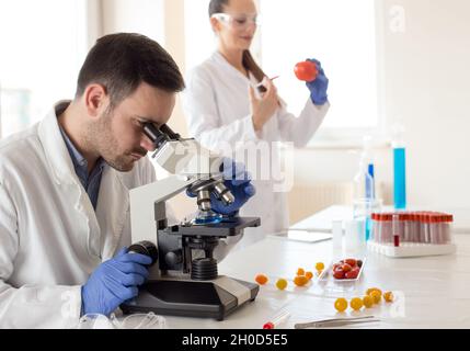 Two scientists doing  research with vegetables in lab with microscope Stock Photo