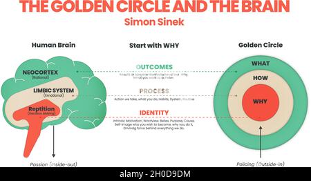 The Golden Circle and brain illustration of Simon Sinek has 3 elements starting with Why question. Human performance or behavior of user target goal. Stock Vector
